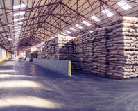 Het magazijn in Antwerpen van binnen met koffiezakken op pallets