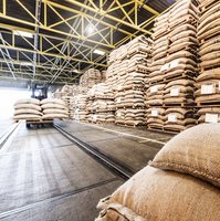 Große Lagerhalle mit gestapeltem Holz und Haufen von Holzspänen auf dem Boden.