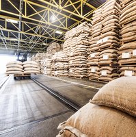 Large warehouse with stacked timber and piles of wood chips on the floor.