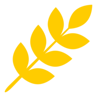 A corn stalk