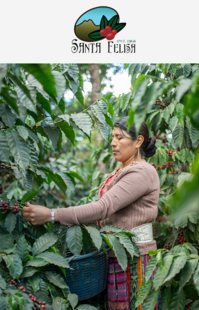 Woman harvesting coffee cherries from a coffee plant, with the SHB EP logo above.