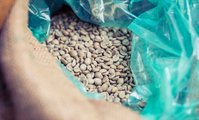 Kaffeesäcke auf Paletten im Lager in Rotterdam