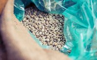 Koffiezakken op pallets in het magazijn in Rotterdam