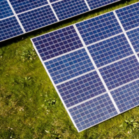 Solarmodule auf einem begrünten Dach mit Vegetation.