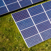 Zonnepanelen op een groendak met vegetatie.