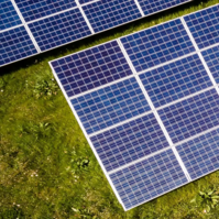 Solar panels installed on a green roof covered with vegetation.