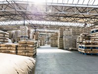 Large warehouse filled with stacked jute coffee bags on pallets, forming aisles under a high industrial ceiling.