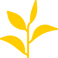 Icon of a tea leaf with stem