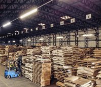 Het magazijn in Bury St Edmunds van binnen met koffiezakken op pallets en een heftruck.
