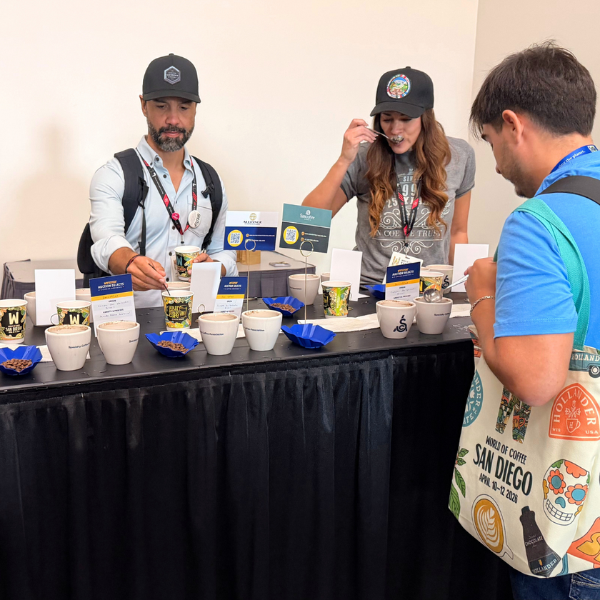 Participants evaluating coffees during the V-Auction Selects cupping at World of Coffee San Diego.