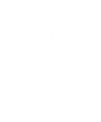 Illustration of the cargo handling stage within the tea supply chain.